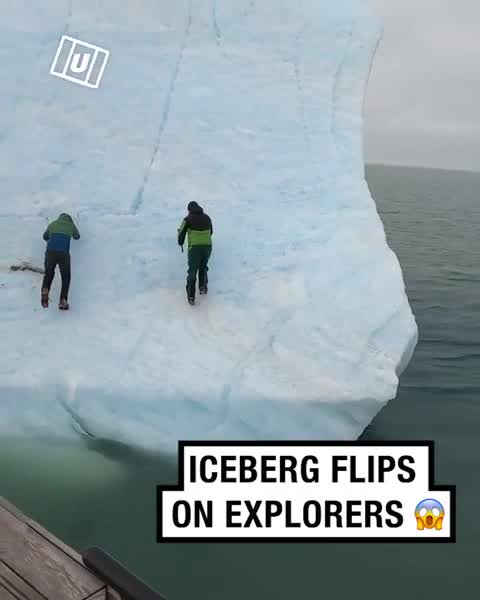 Grimpe Forest grimpe!!