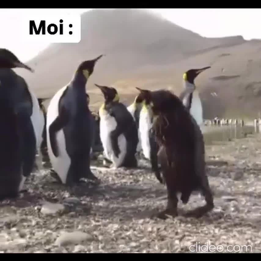 Ca a été ta semaine?