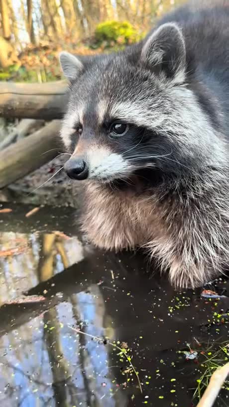 Il y a des regards qu'on oublie pas