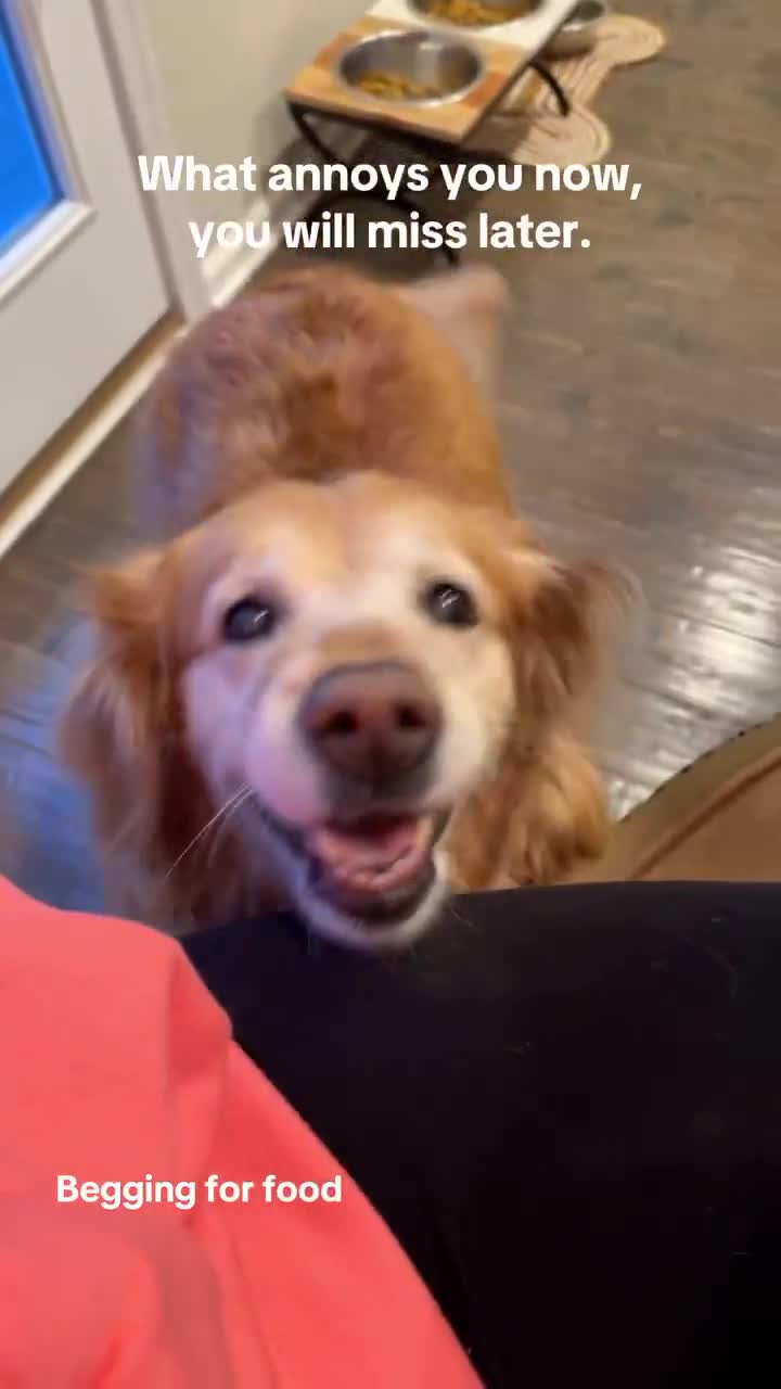 Ce qui t'agace maintenant, te manquera plus tard...