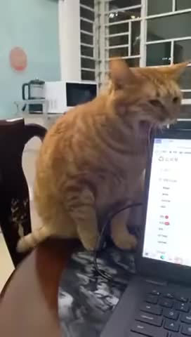 Ces fils de pute savent très bien ce qu'ils font