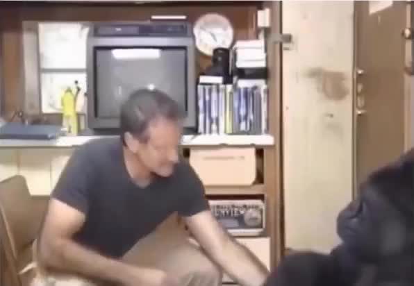 Quand Robin Williams a réussi à redonner le sourire à un gorille.