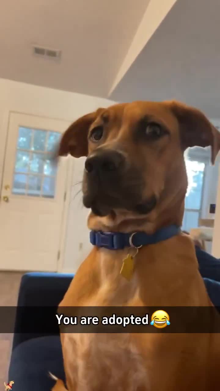 Je t'avais pas dit mais...