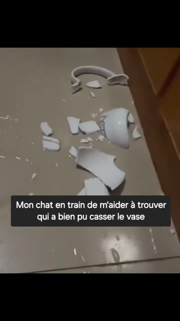 Non franchement je vois pas qui?! (fils de pute va)