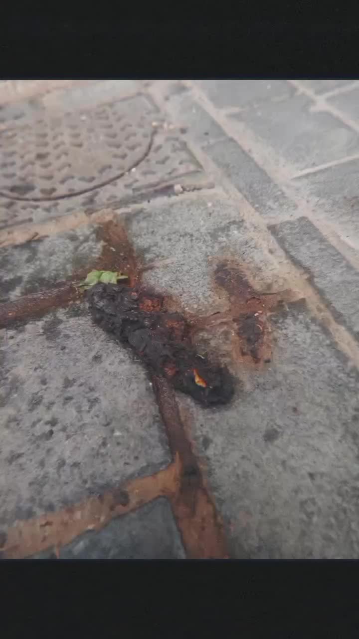 Rapport de l'interzone - la crotte de tox derrière les toilettes publiques et la mouche -  cours Victor Hugo à Bordeaux.