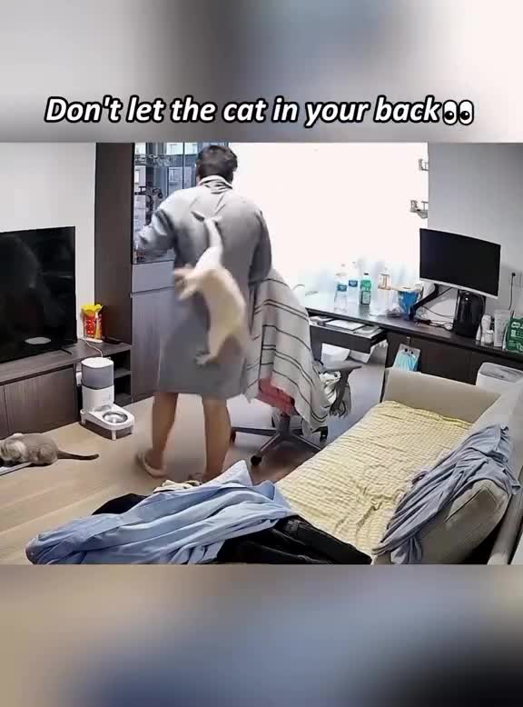 Ne leur tourne jamais le dos.