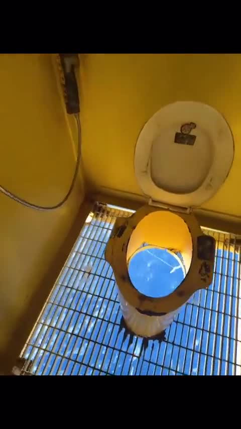 Les requins moi je leur chie dessus!