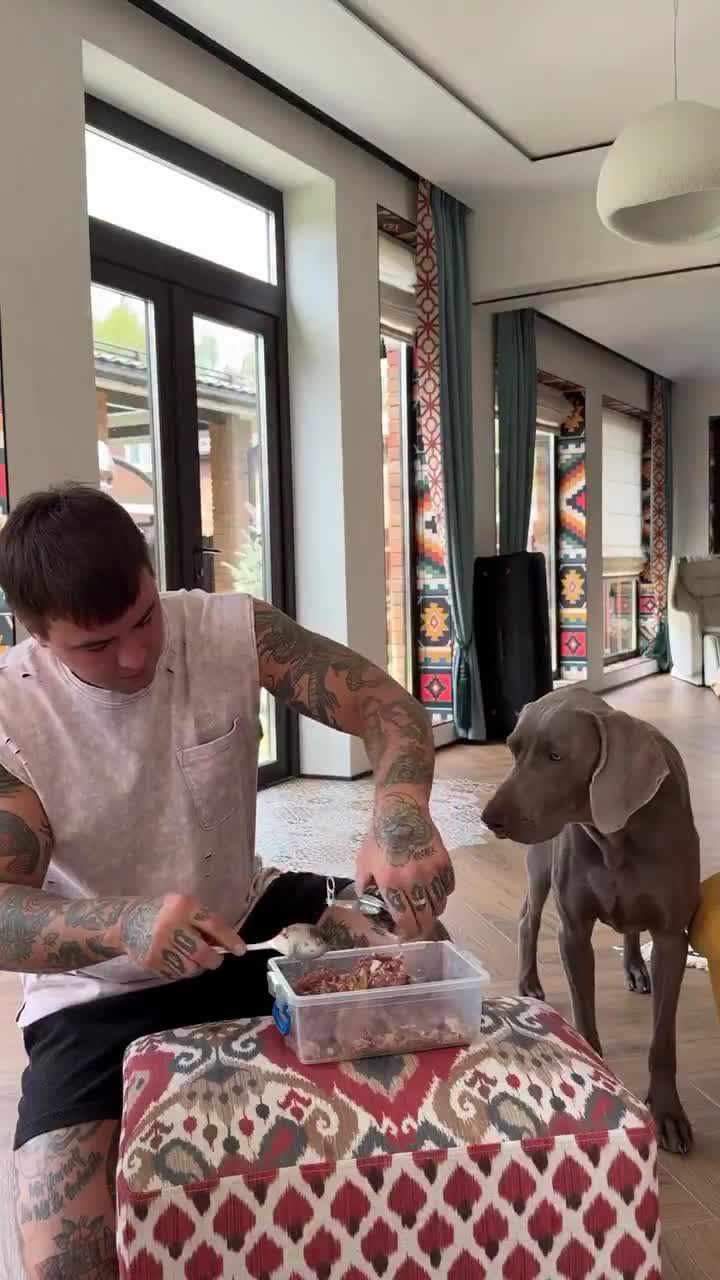 Le chien, animal ô combien intelligent, sait analyser et prioriser ses actions