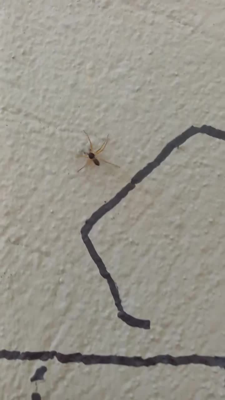 Suite de la dégradation de L'interzone.