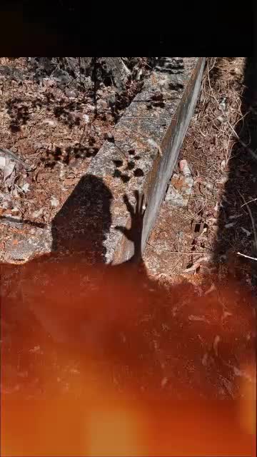 Exposition de l'interzone # Phase 3.