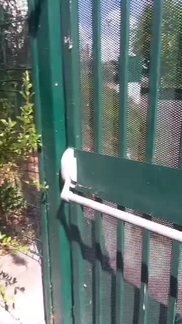 Exposition de l'interzone Phase 5.