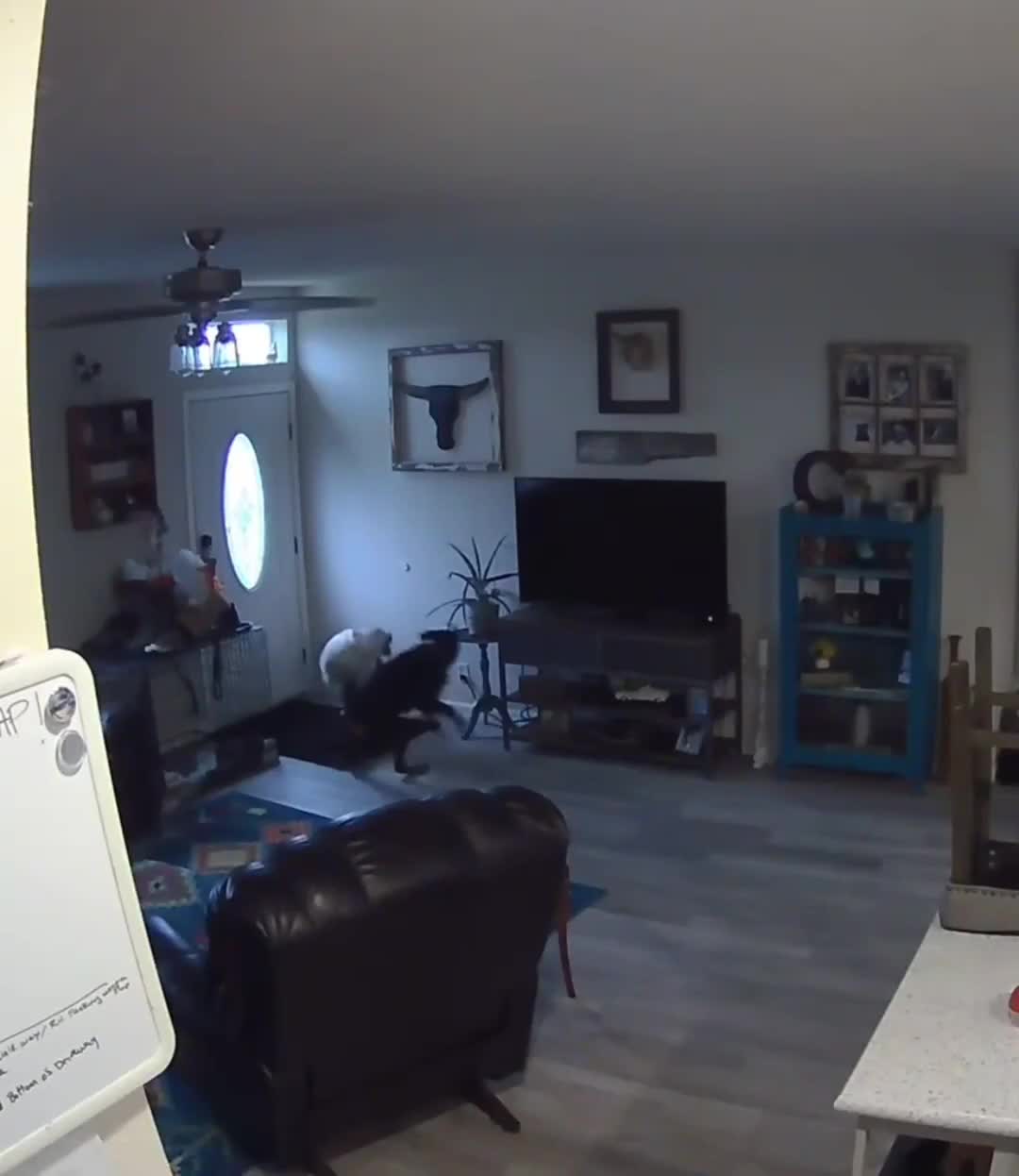 -T'as fais de la merde mec... ~Putain je vais me faire tuer par Mamaaaan !!!