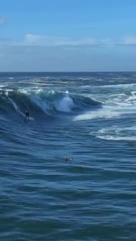 Des nouvelles de Paf le surfeur