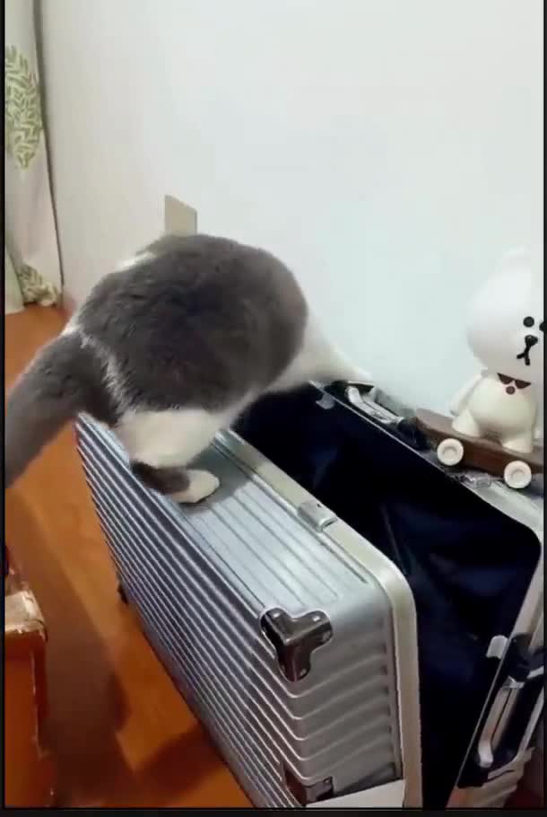 Ca fait toujours plaisir de voir ces connards mal pris