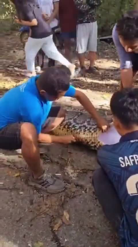 Et notre grand vainqueur du concours de cache-cache est...