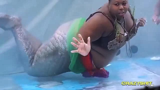 Qui a mangé tous les poissons?