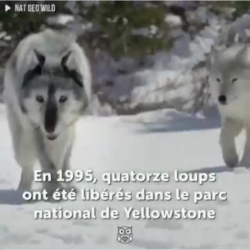 Urne approche de ce qu'est un écosystème