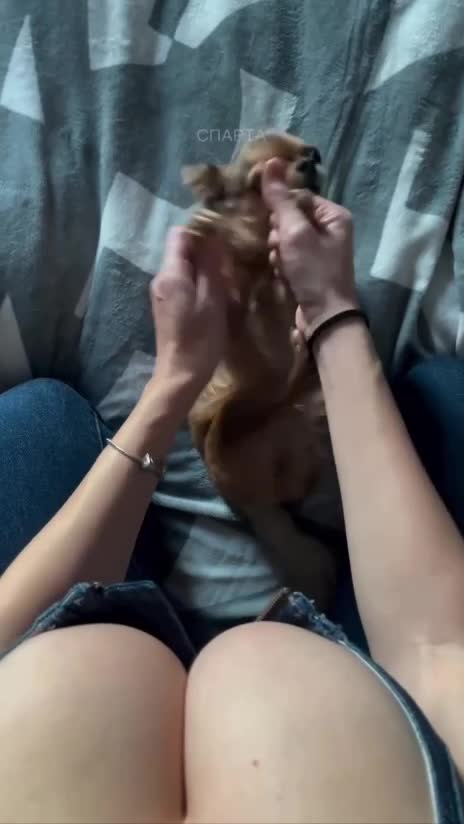 Connait pas la race et j'men branle un peu en fait .