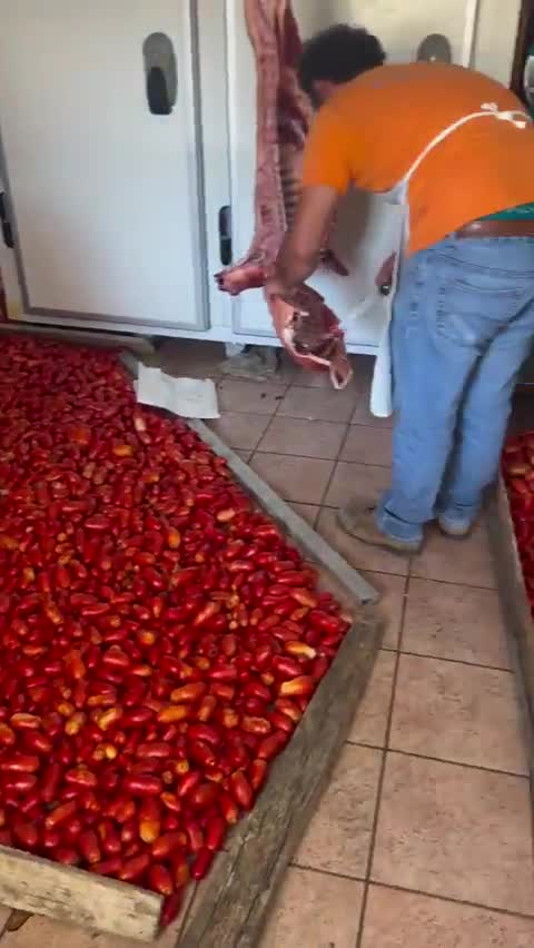 Des souvenirs de vacances en famille et de soleil