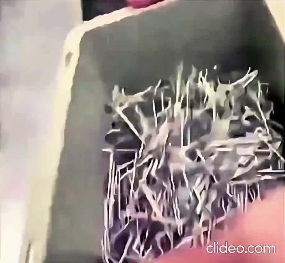 &quot;Parfois, la vie te met à l’épreuve, te secoue, mais souviens-toi que les épreuves te rendent plus fort.&quot; – Steve Jobs discours à l’université de Stanford, 2005.