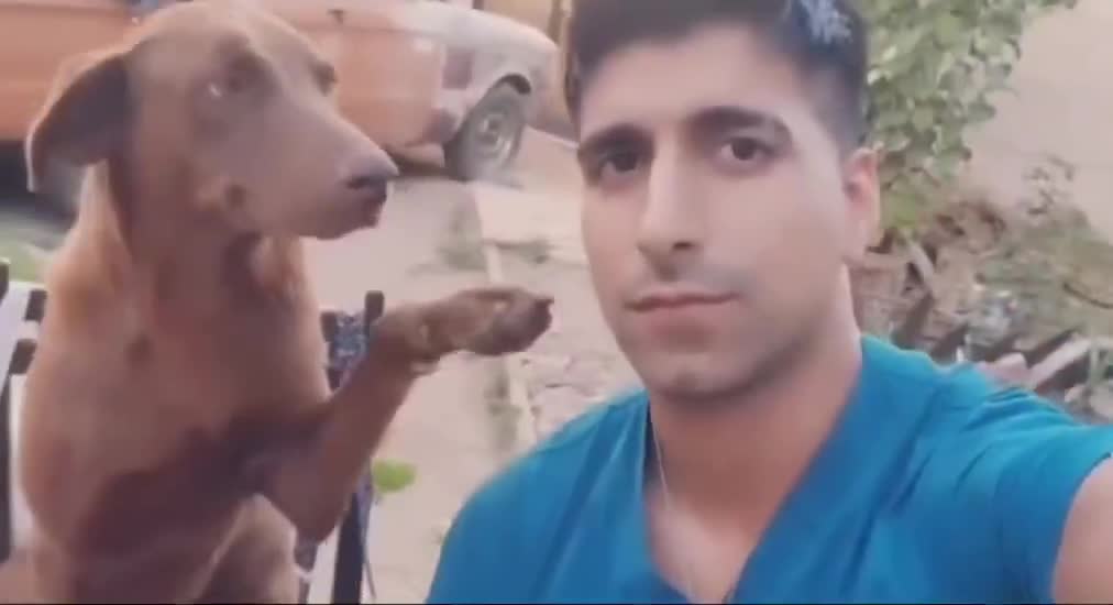 On a toutous besoin d'affection