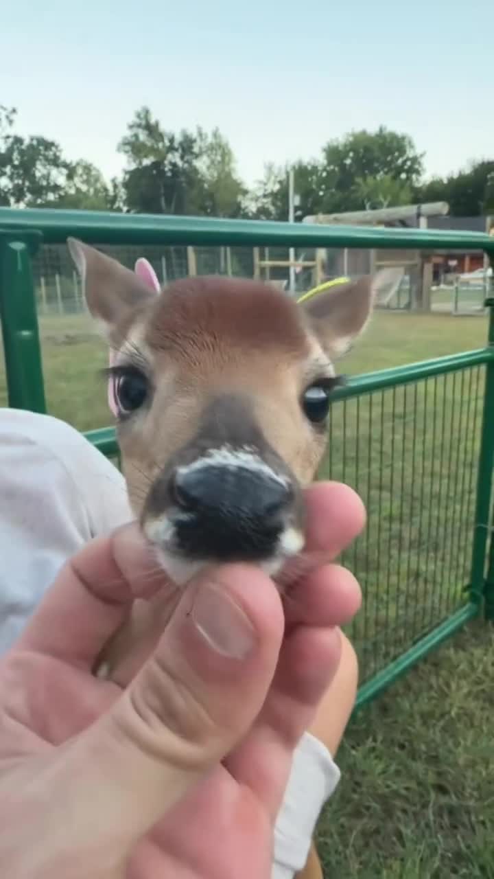 Tu me faon le coeur !