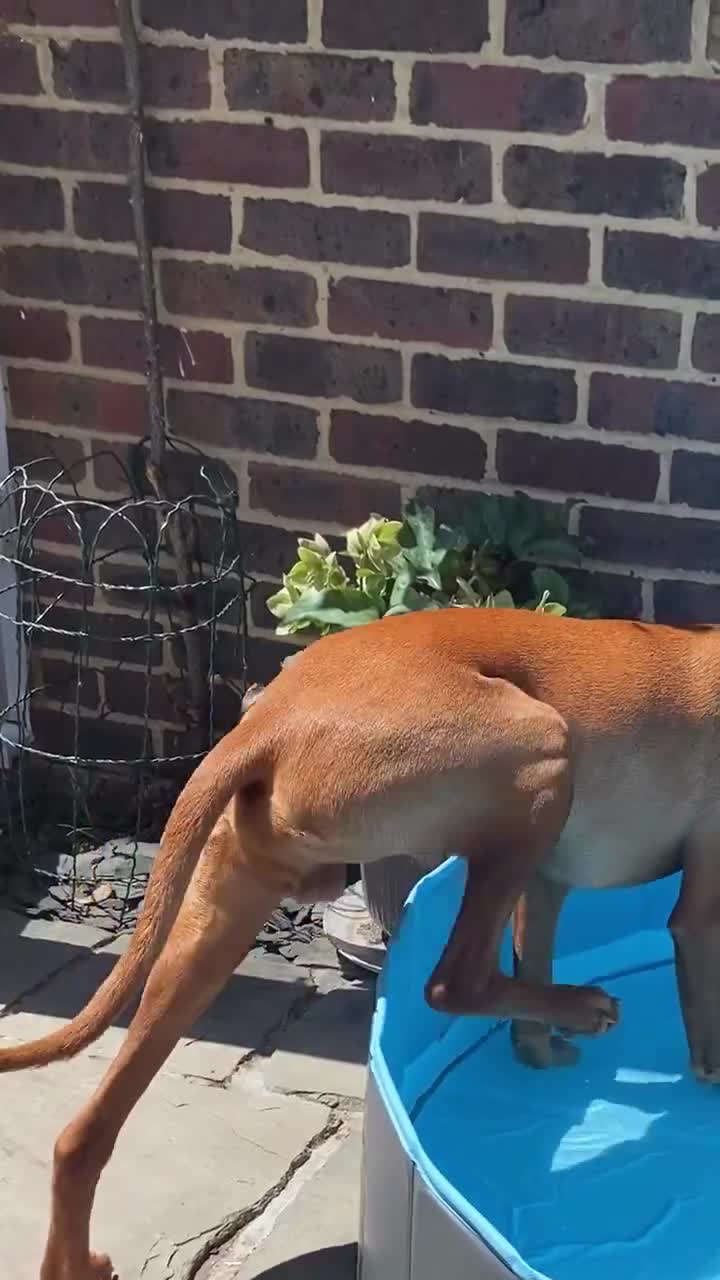 Quand tu rentres dans la Manche au mois de Septembre