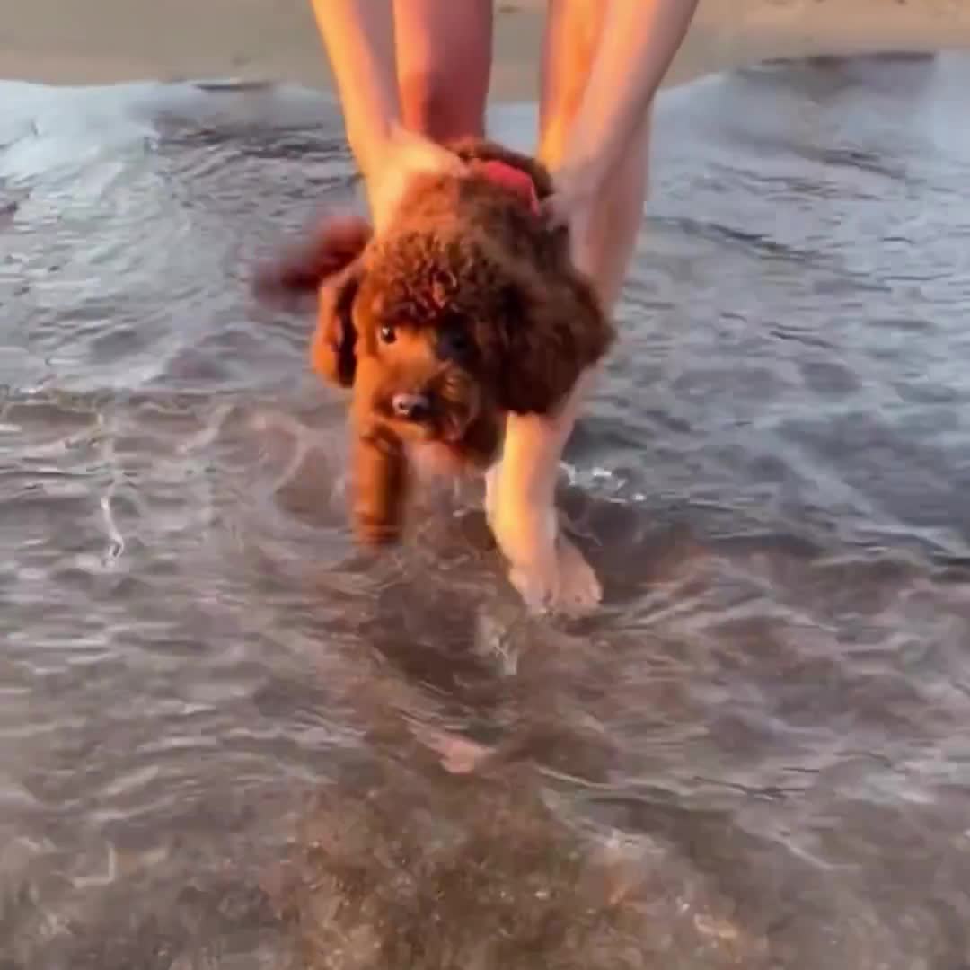 Je peux le faire ! je peux le faire !!!