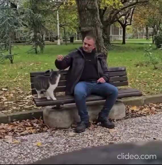 Harcèlement de rue.