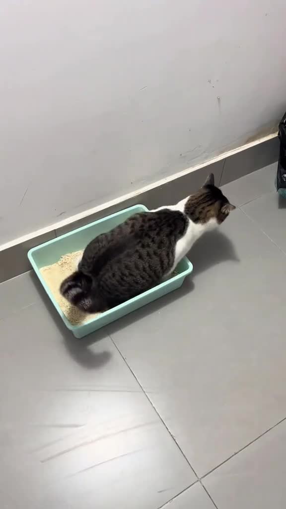 Pensez à changer le firmware quand il bogue comme ça