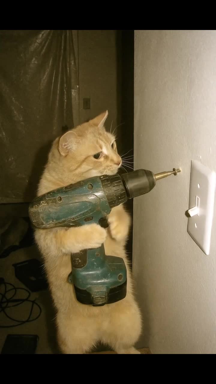 Certains diront fake