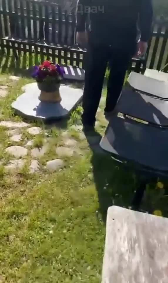 Nos Polonais ont du talent