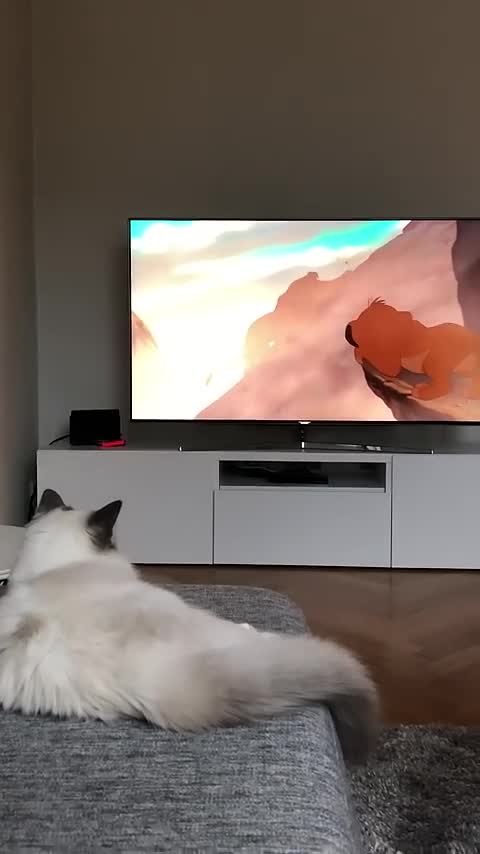 Les bestioles ne comprennent rien... Oh! Wait!