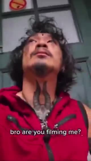 Le tigre lisse son pelage avant de bondir