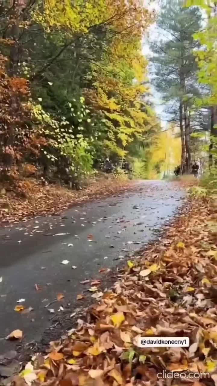 Y'aura un peu de carrosserie à faire, trois fois rien.