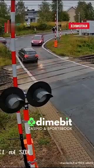 Quand le panda comprend la géométrie, la lune demande le divorce.