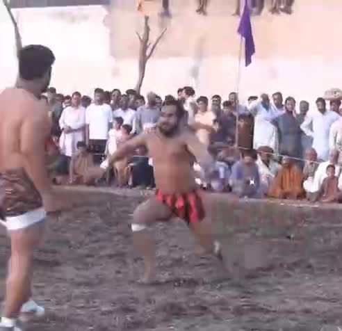 Ninja hindi gladiator