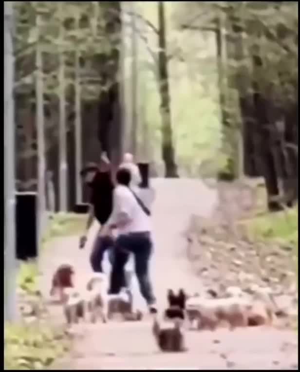 Ça, c'est un bâton.