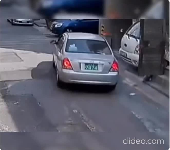 Quand une abrutie rencontre un abruti.