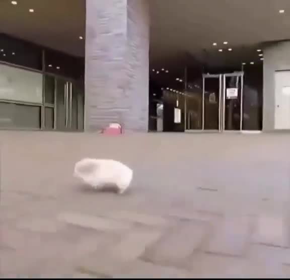 Ma gueule aujourd'hui après avoir passé les portiques au boulot et m'en allant vers un week end pontlongé