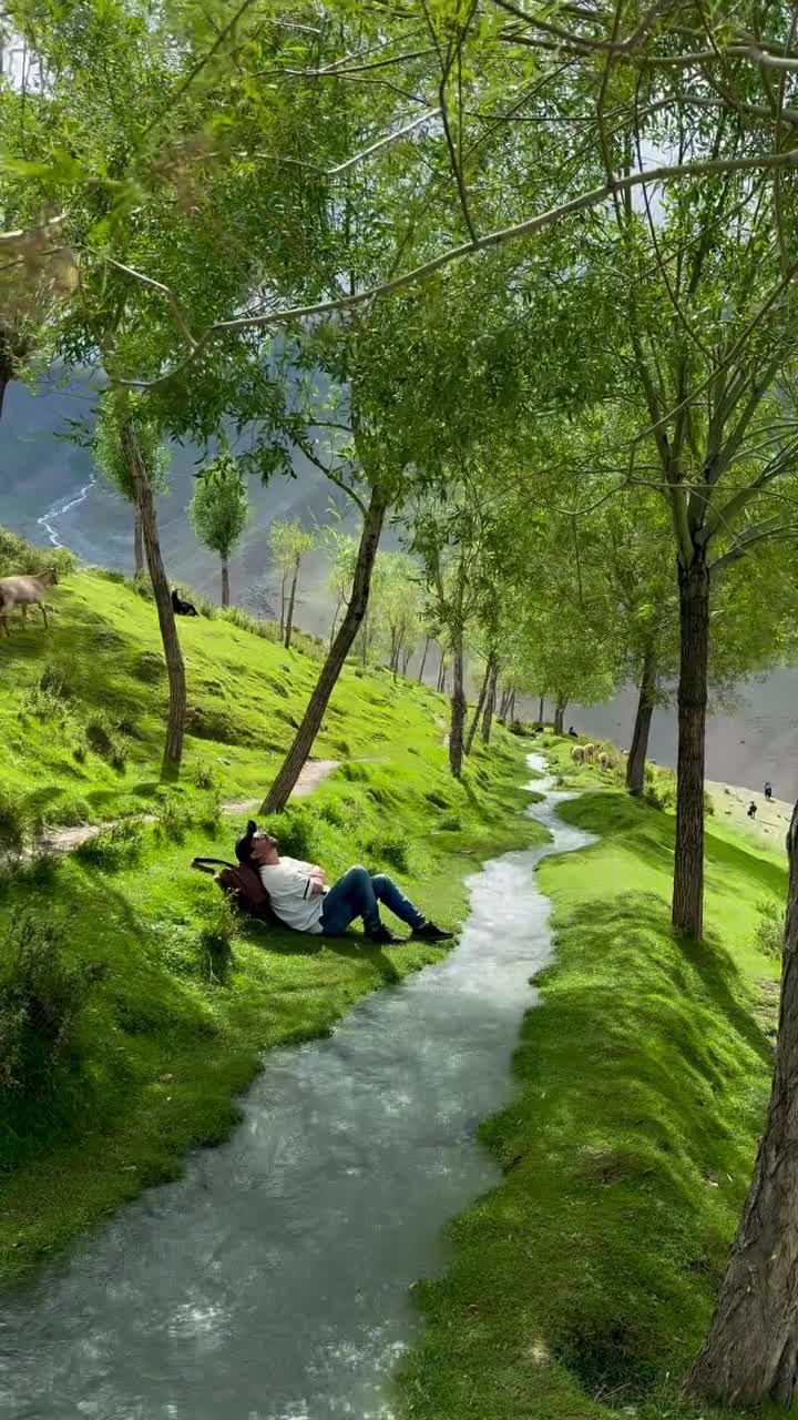 Quand tu vis dans un monde dessiné par Nintendo...