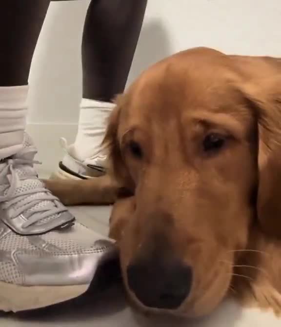 Le surkiff: définition