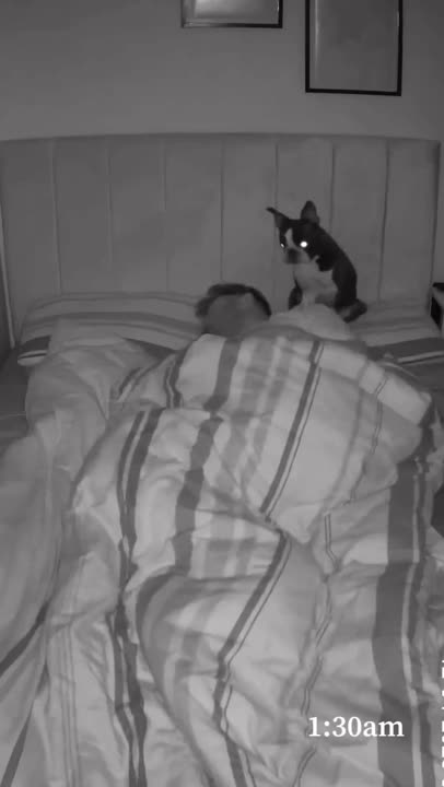 La nuit a été bonne ?