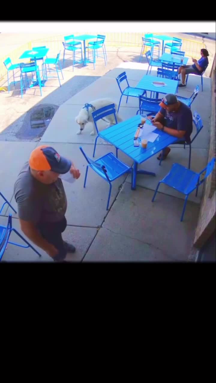 Well , that's escalated quickly