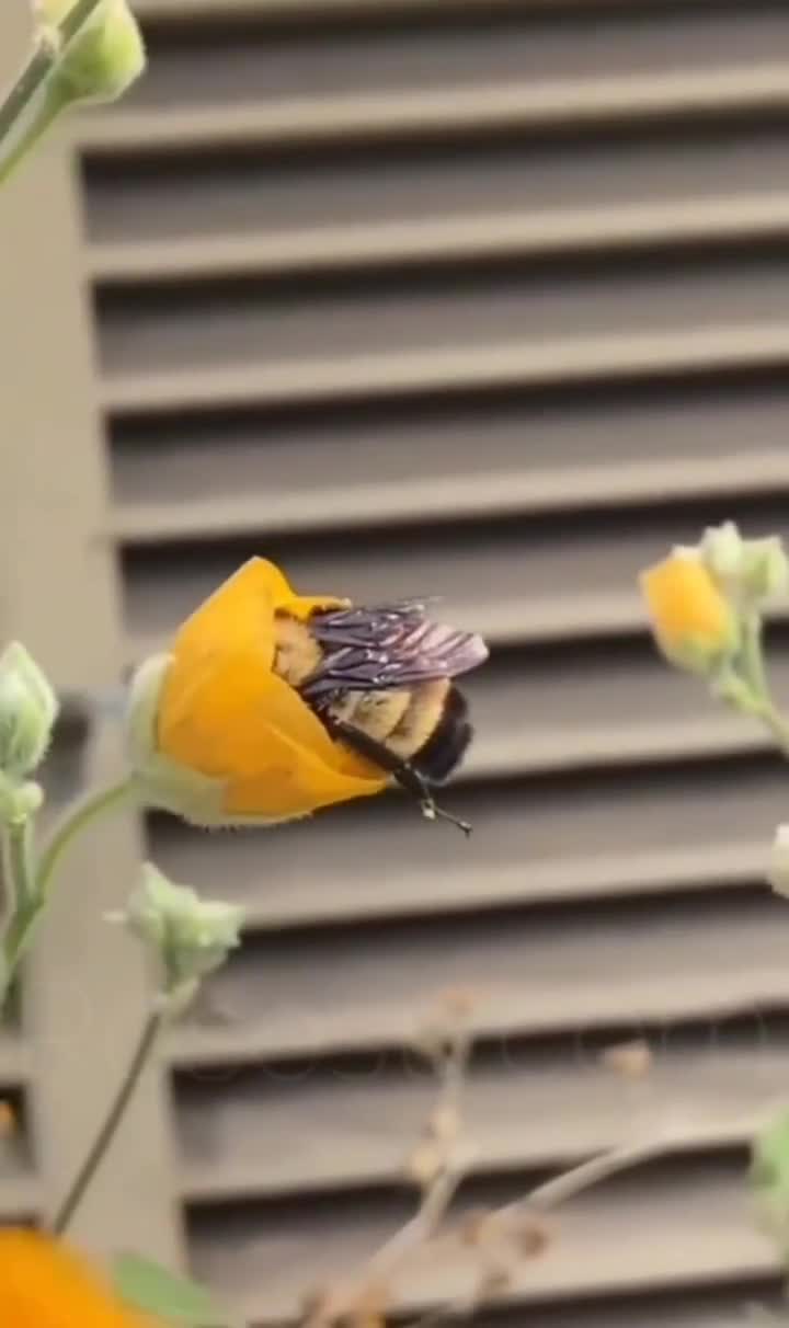 Une petite sieste à l'abris des regards