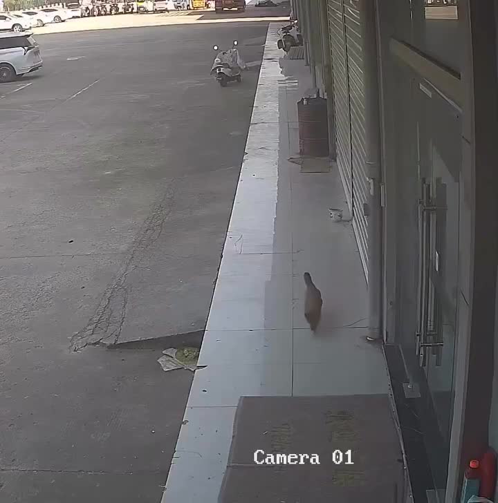 Bien fait pour ta gueule fpd !