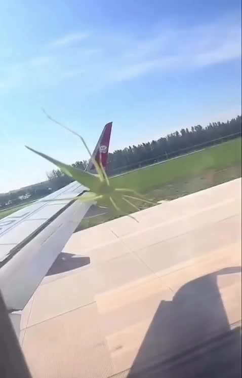 C'est bof le dernier &quot; Mission Impossible &quot;