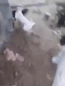 tournicoti, tournicoton