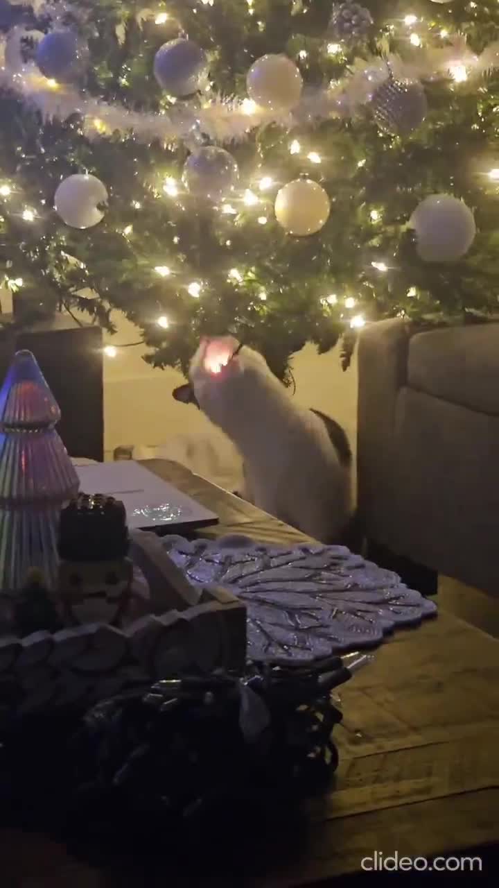 C'est la saison pour ces FDP...