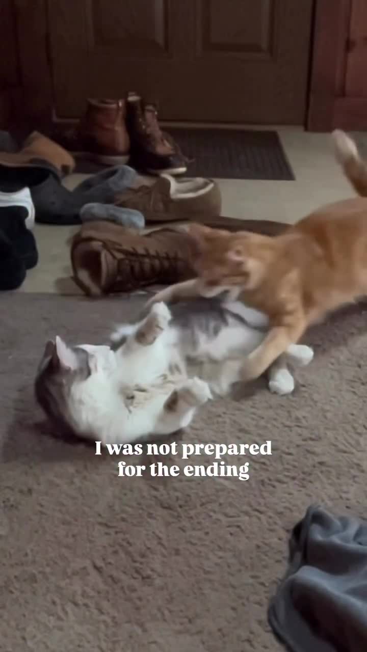 C'est pas la bonne teinte de roux mon gars...